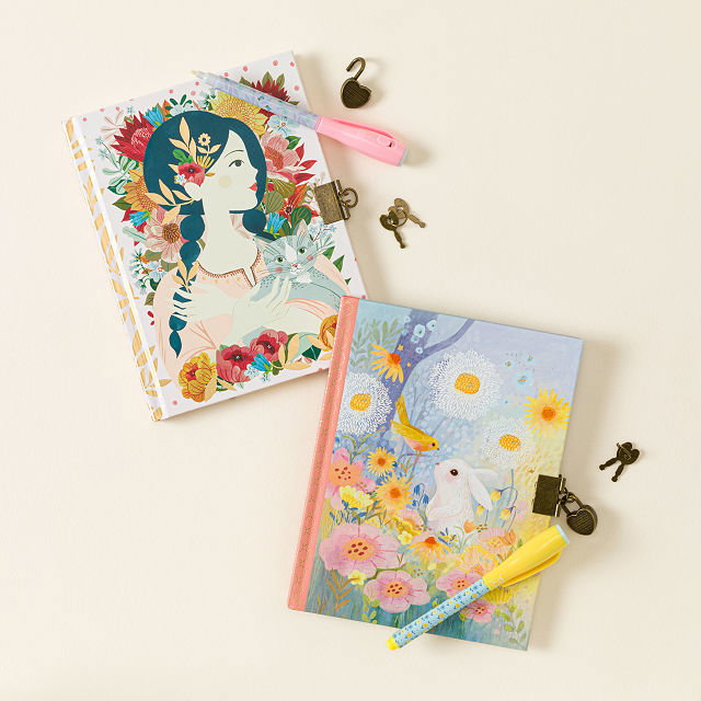 Locked Journal with Invisible Ink Pen