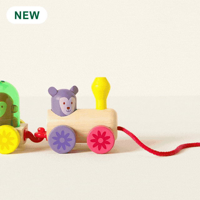 Pull-Along Toddler Stacking & Color Mixing Train