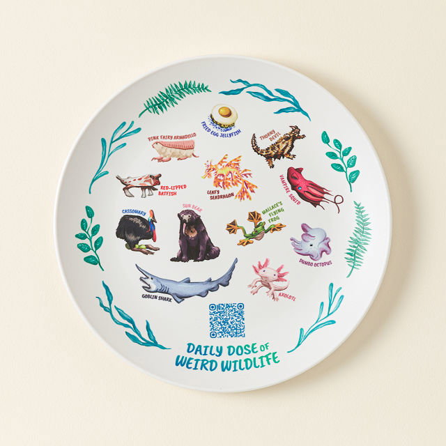 Weird Animal Fact Everyday QR Kids Plate