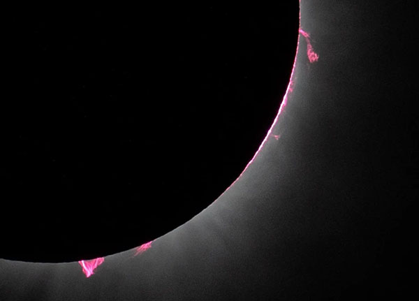 An image showing solar prominences protruding from the corona during a total solar eclipse in 2024.