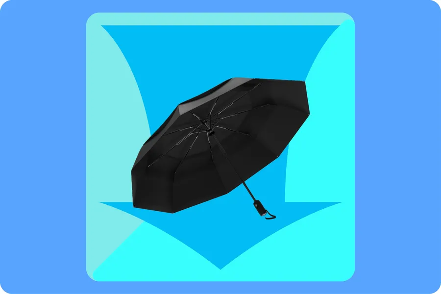 A Tiny But Mighty Umbrella for $24