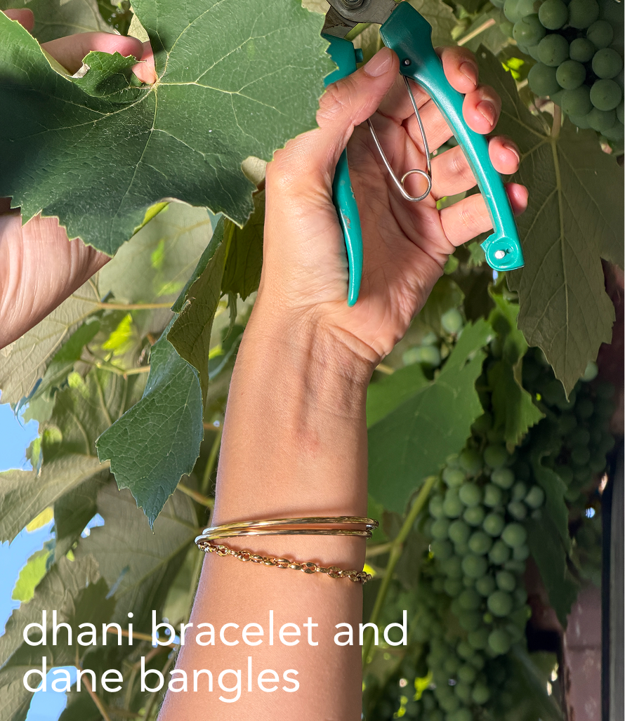 dhani bracelet and dane bangles