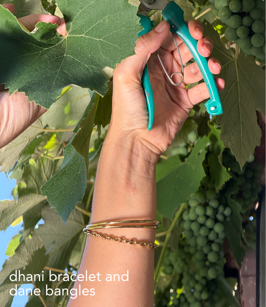 dhani bracelet
