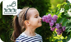 10 arbustes parfumés à planter dans votre jardin