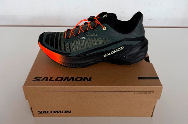 ¡Novedad! Salomon Genesis 2