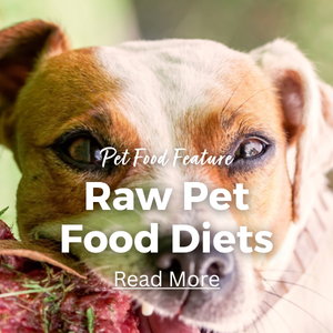Pet Food Feature: Main Types of Raw Pet Food Ideas