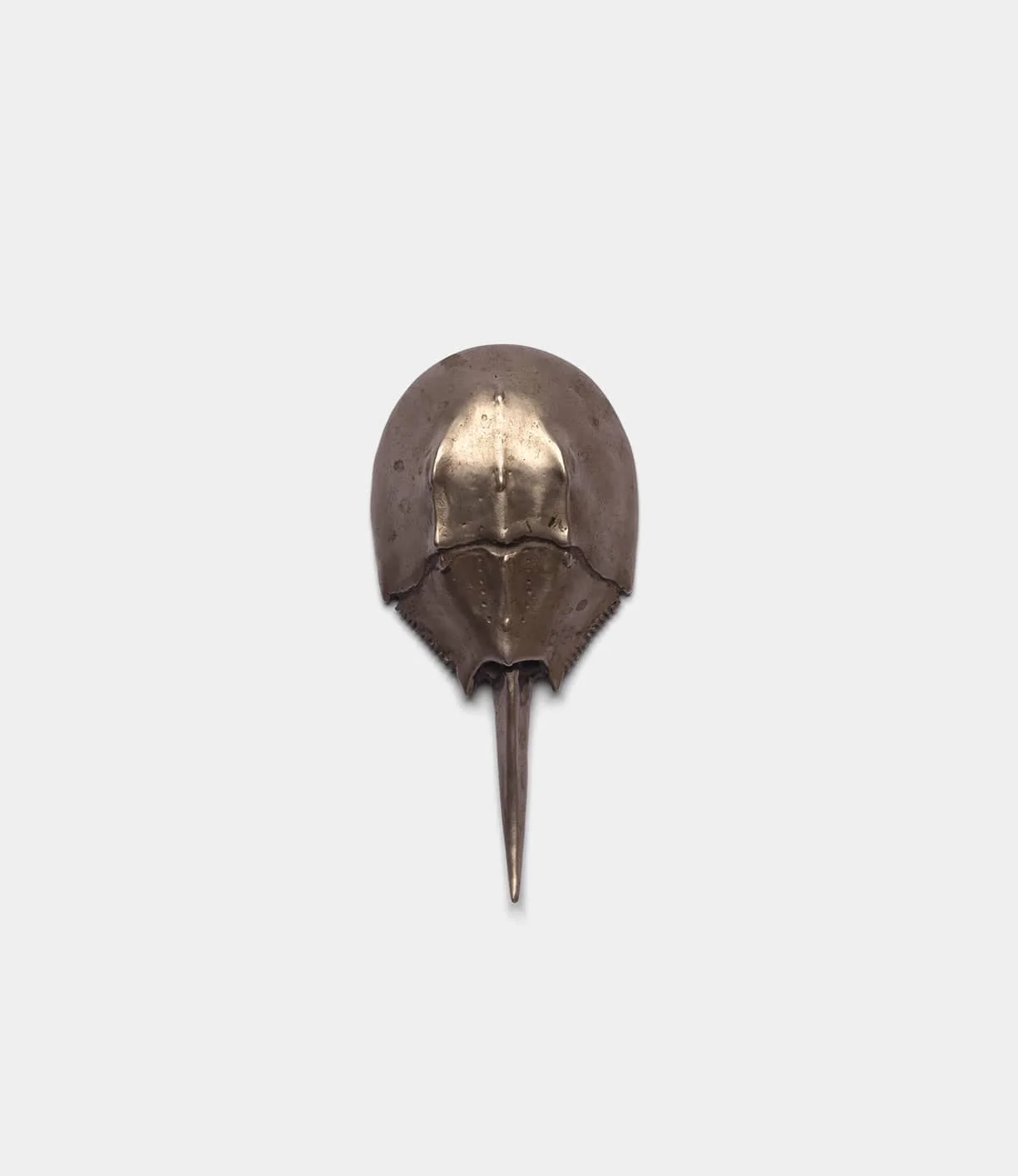 Image of Horseshoe Crab Opener