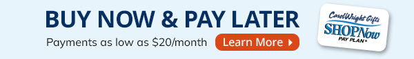 Buy Now & Pay Later with payments as low as $20/month.