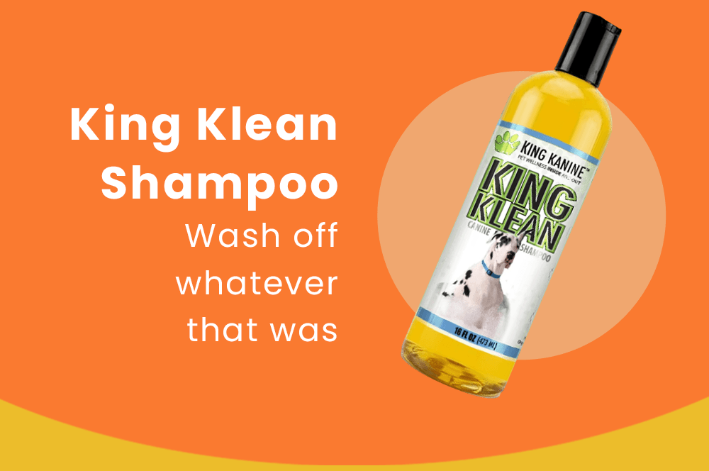 King Klean Shampoo → wash off whatever that was