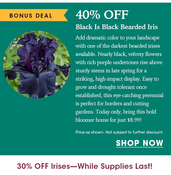 EXTENDED ONE DAY: 30% OFF Irises