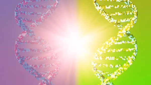 Mirror cells could threaten life on Earth. Why are we building them? | NPR