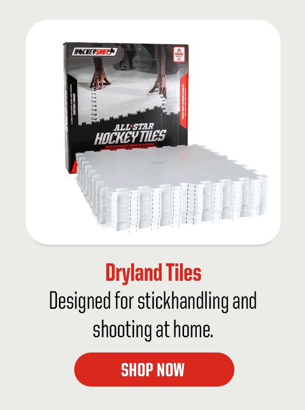 Product Block 1: Dryland Tiles. Designed for stickhandling and shooting at home. CTA: Shop Now