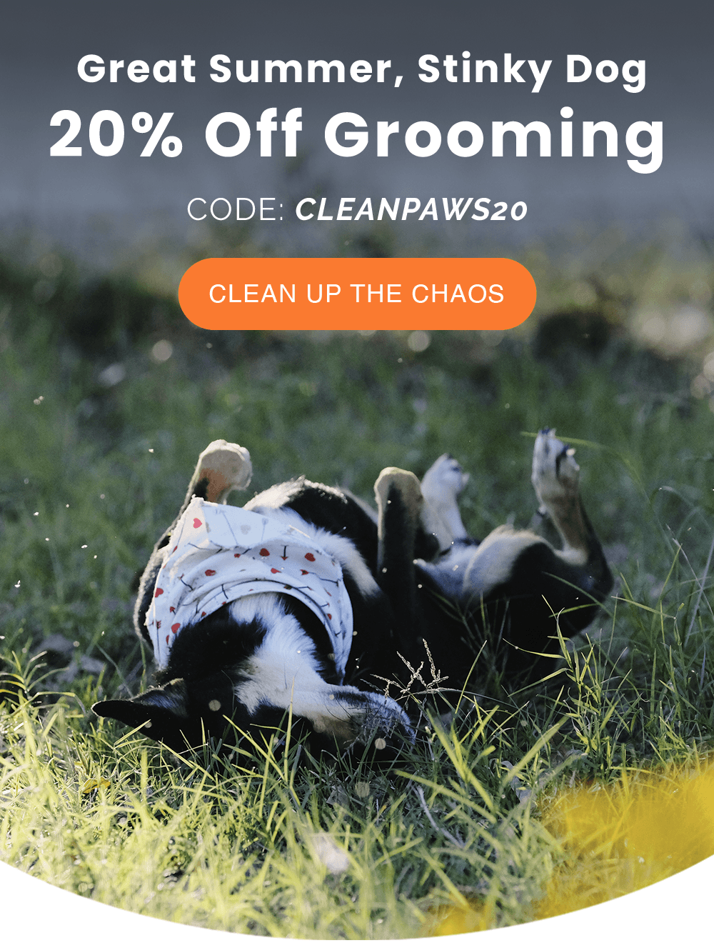 Great Summer, Stinky Dog. 20% Off Grooming CODE: CLEANPAWS20