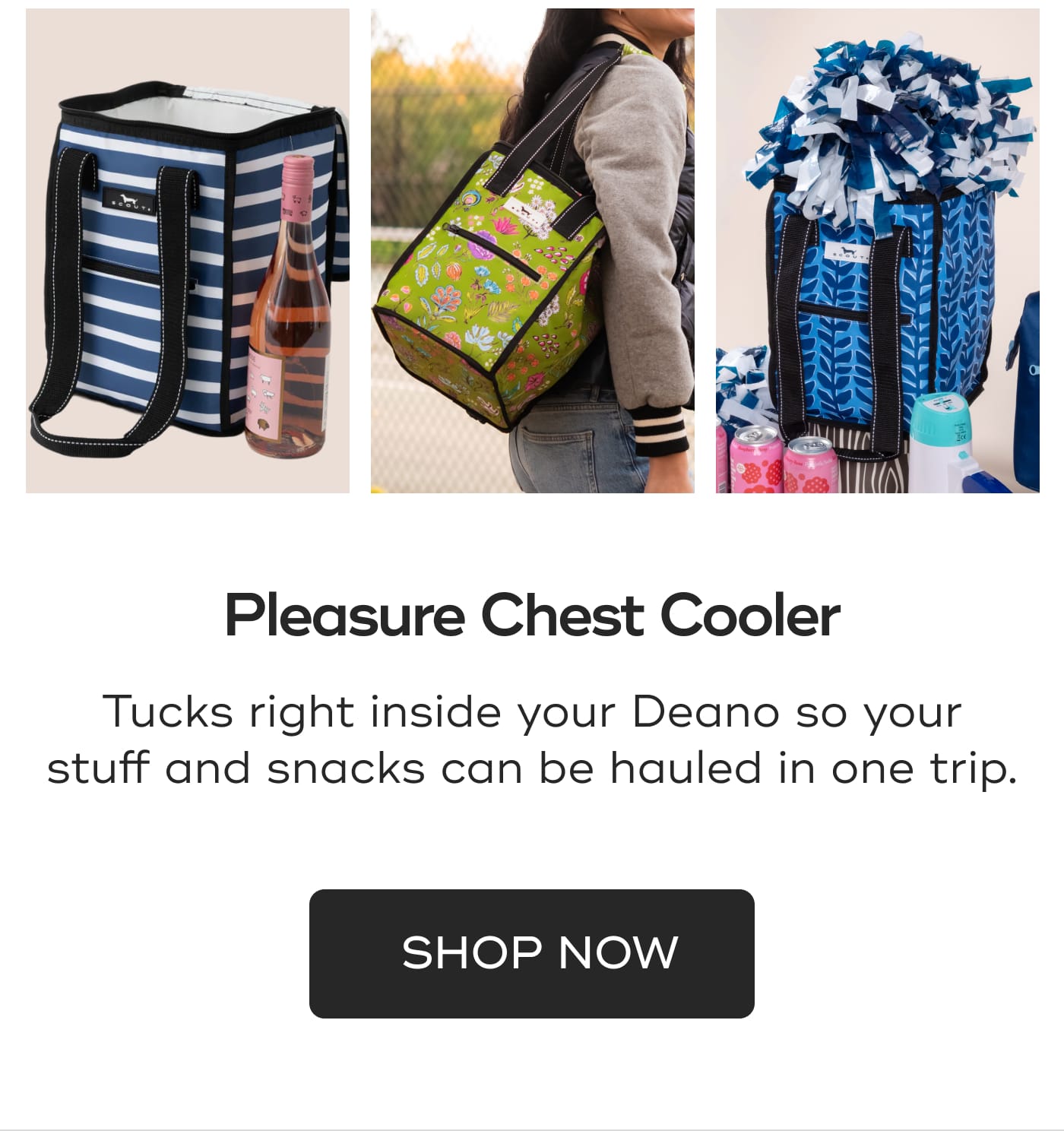 Pleasure Chest Cooler. Tucks right inside your Deano so your stuff and snacks can be hauled in one trip. SHOP NOW