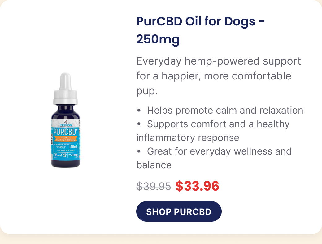 PurCBD Oil for Dogs — 250mg, now $33.96