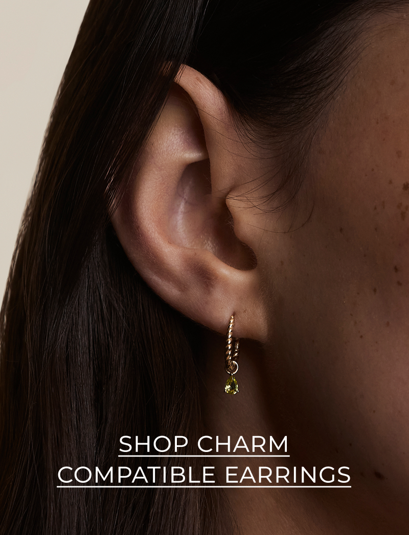 Shop Charm Compatible earrings