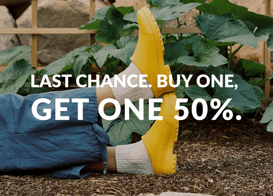 Last Chance. Buy One, Get One 50%.
