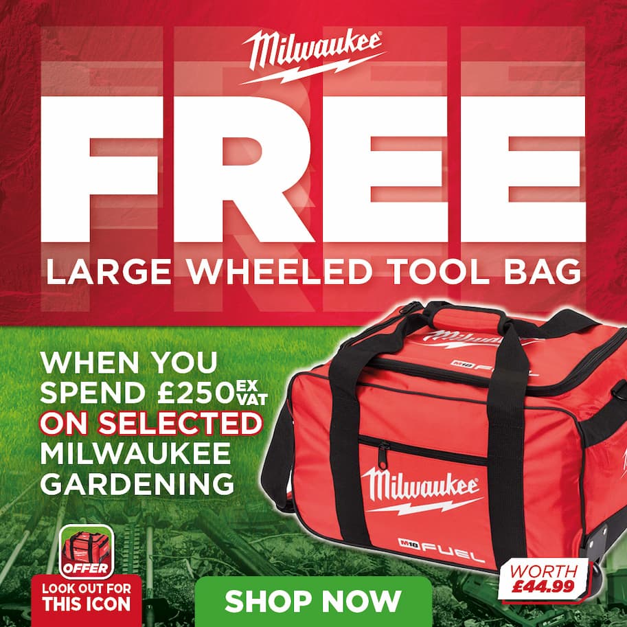 Free bag