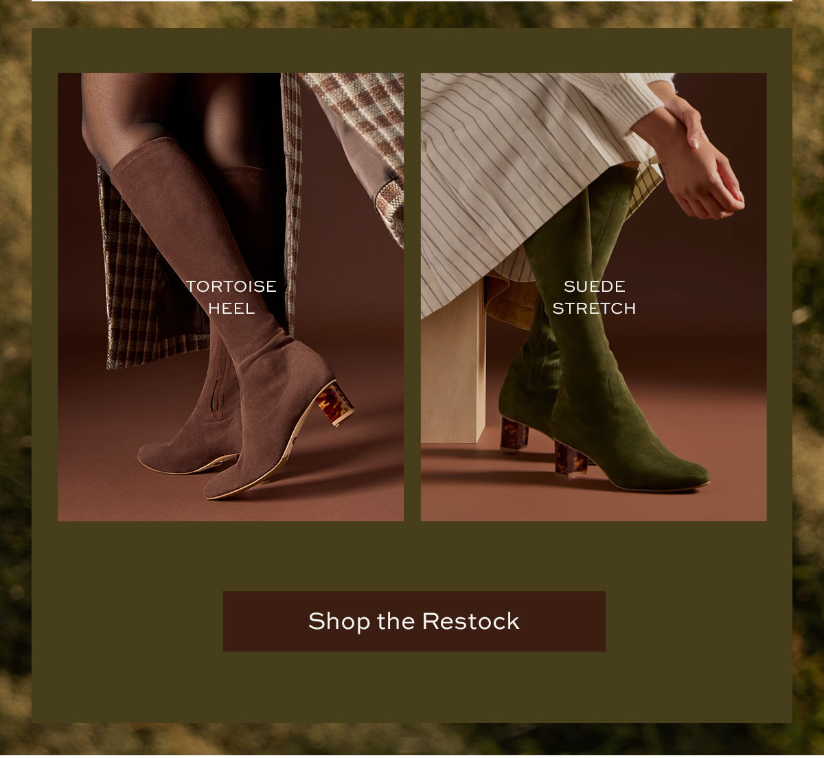 Shop the Restock