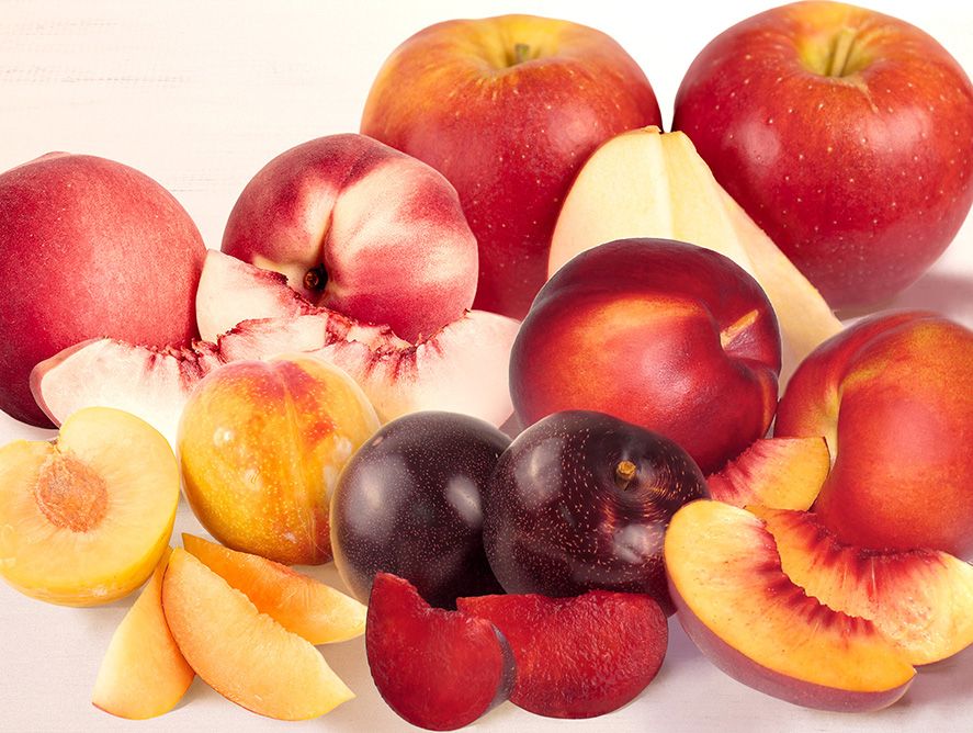 Pick of the Week: Harvester's Choice 3-Fruit Sampler