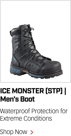 Shop ICE MONSTER (STP)