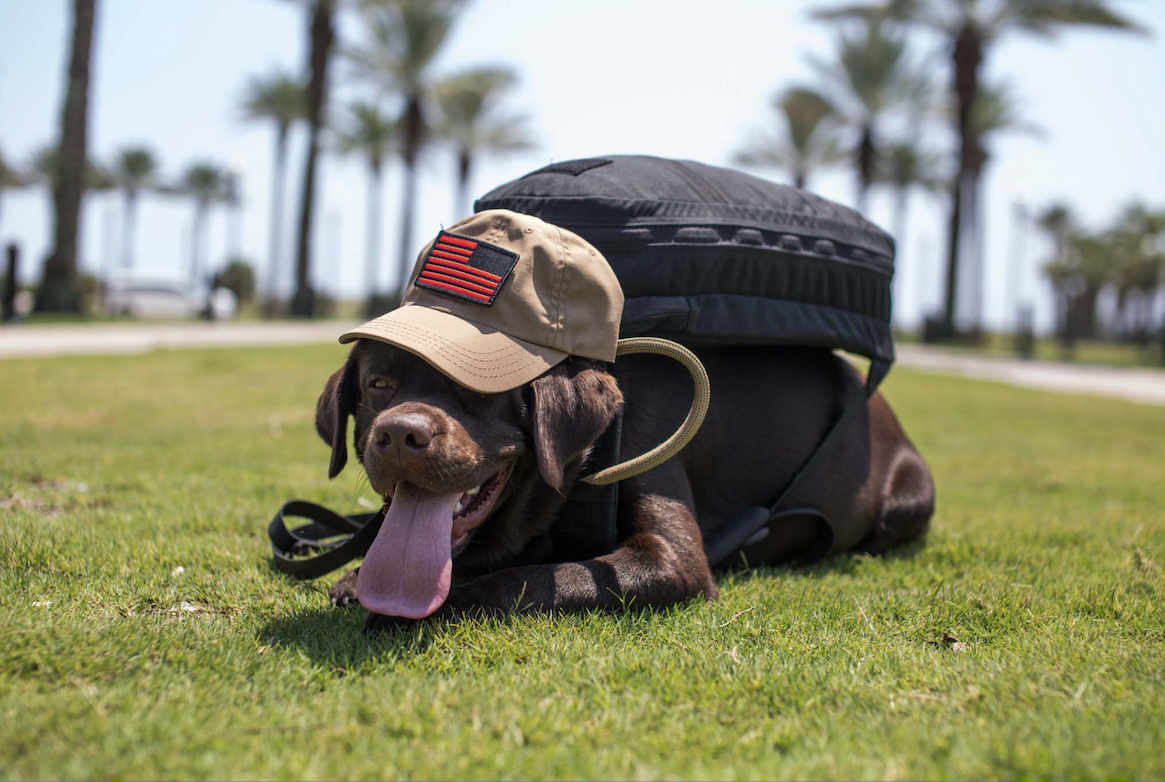 Monster, President, GORUCK Nation