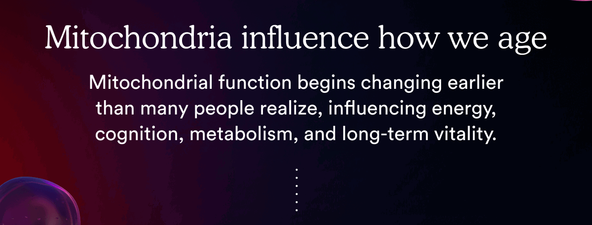 Mitochondria influence how we age