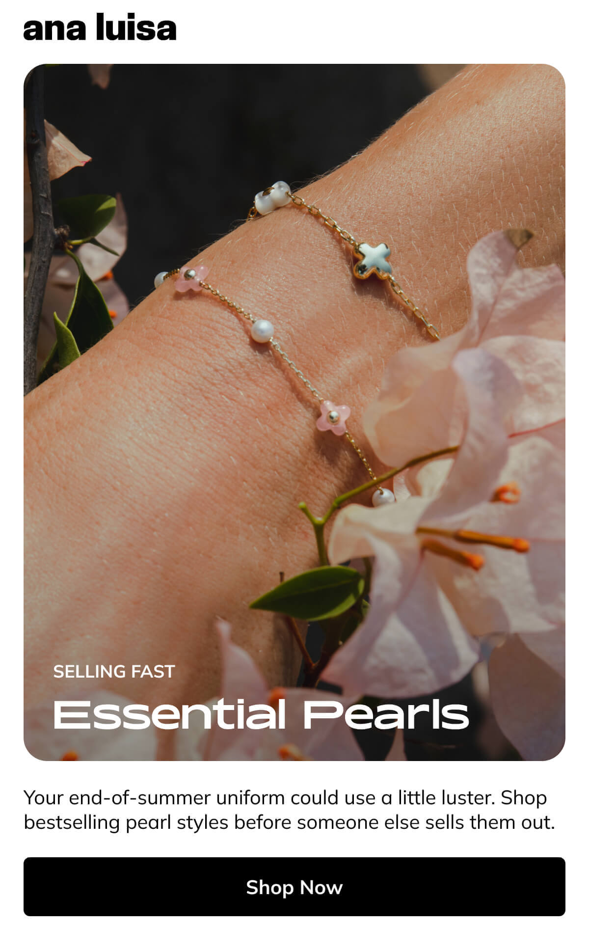Shop Now Shop Now