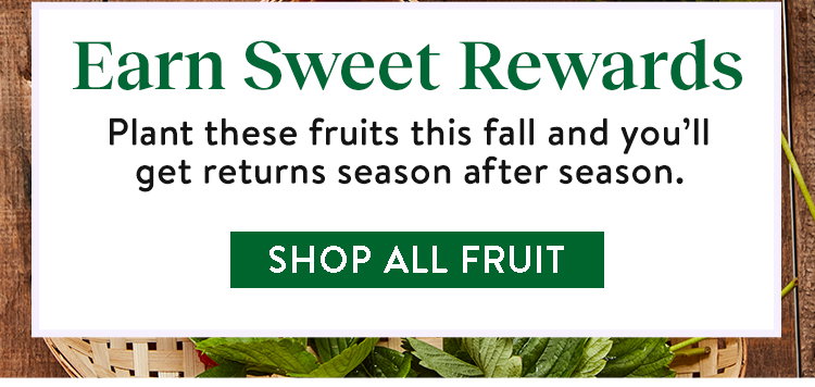 Fruit and Berry Plants