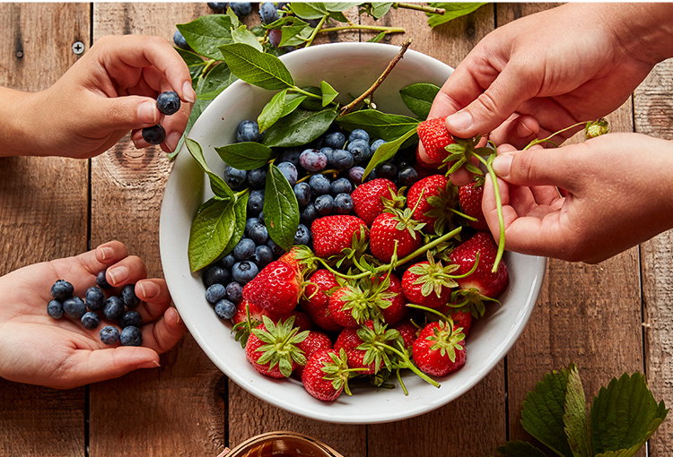 Fruit and Berry Plants