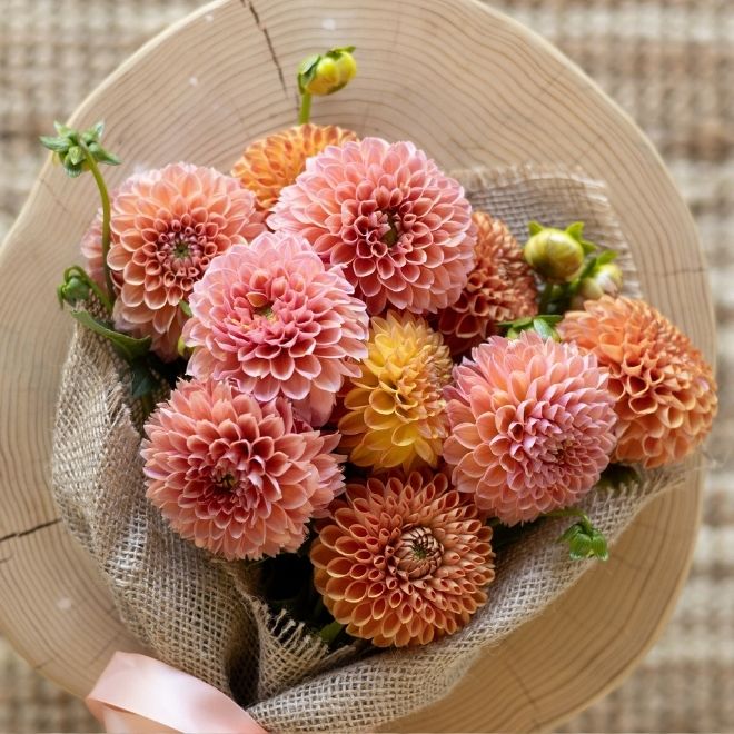 Late-summer dahlias - Order today Market Box Dahlias Soft Palette $75