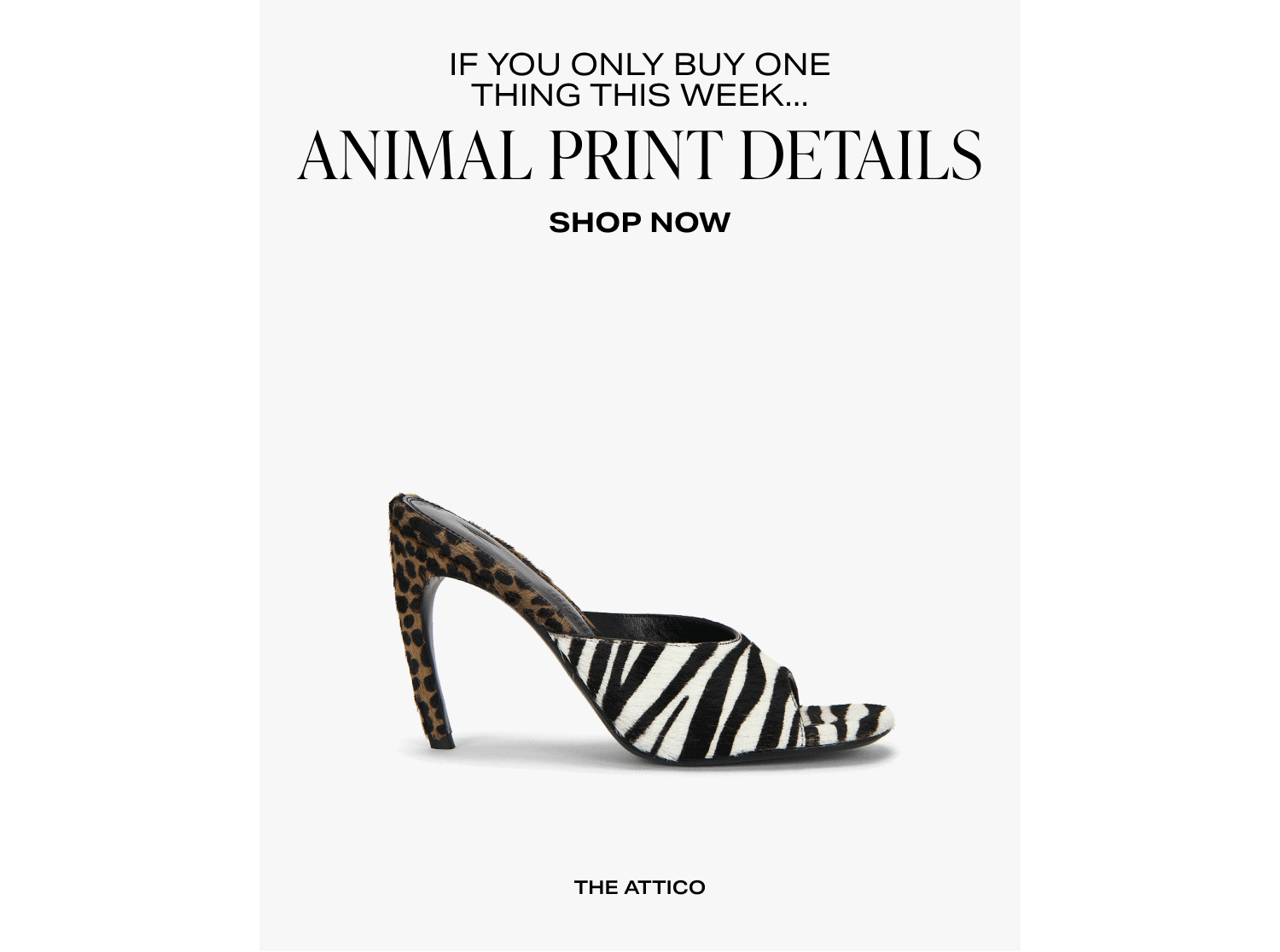 Shop Animal Print Details