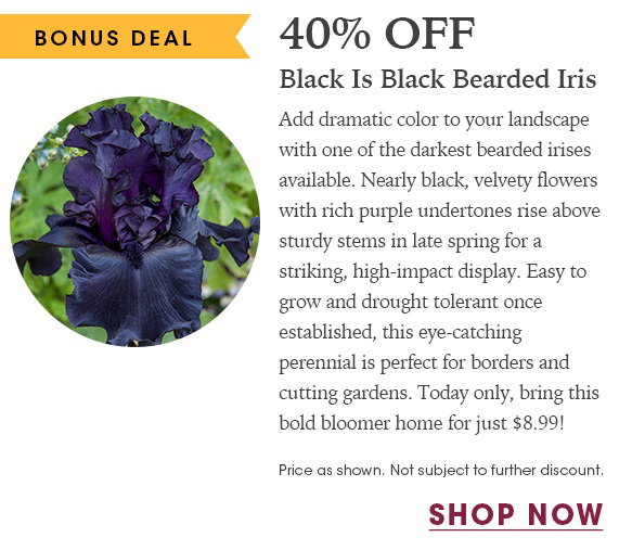 FINAL HOURS: Up to 20% OFF Perennials + Free Shipping on $150+