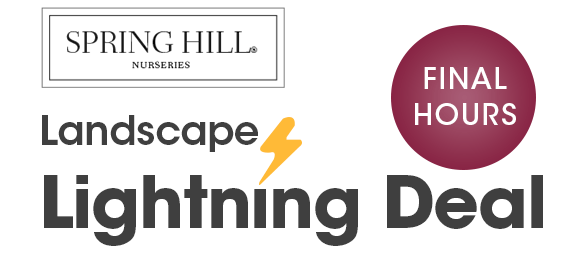 FINAL HOURS: Up to 20% OFF Trees + Free Shipping on $150+