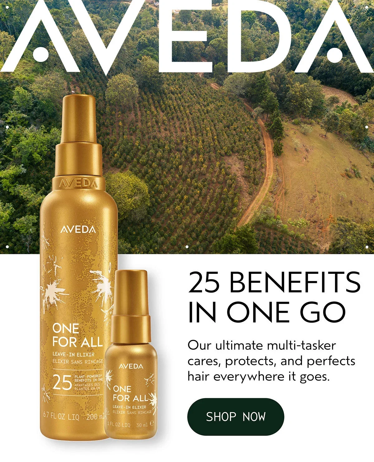AVEDA | 25 BENEFITS IN ONE GO | Our ultimate multi-tasker cares, protects, and perfects hair everywhere it goes. | SHOP NOW