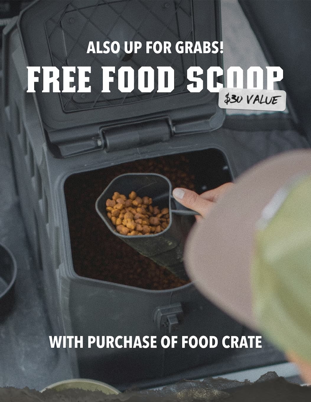 Also Up For Grabs! Free Food Scoop