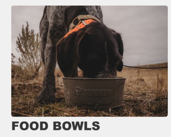 Food Bowls