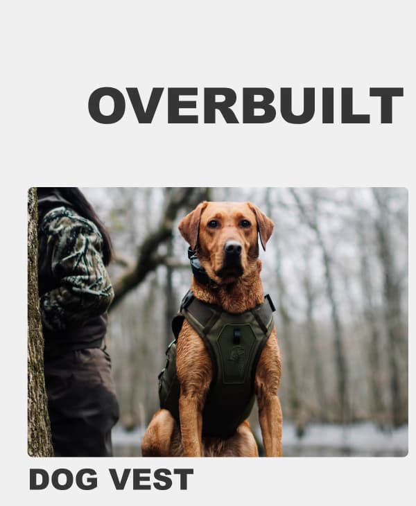Dog Vest