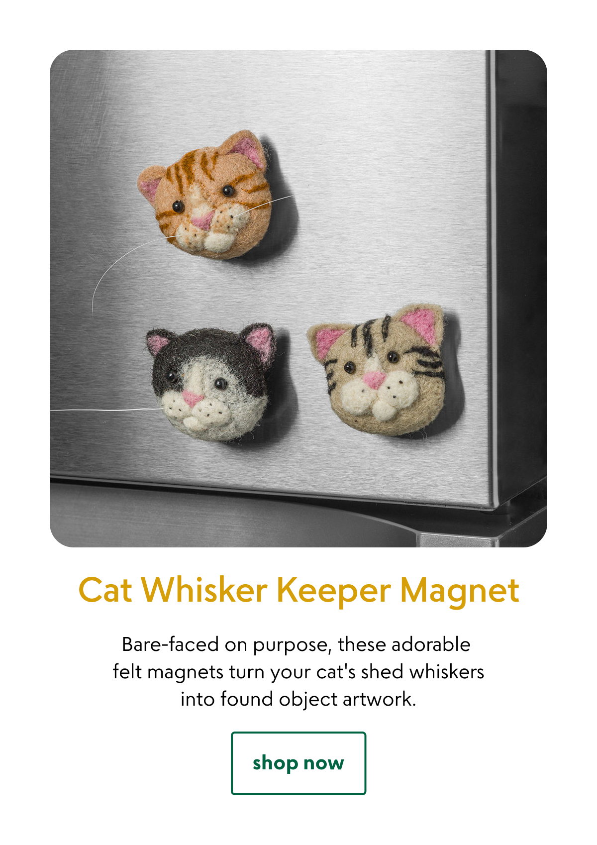 cat-whisker-keeper-magnet
