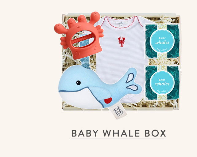 Baby Whale Box 