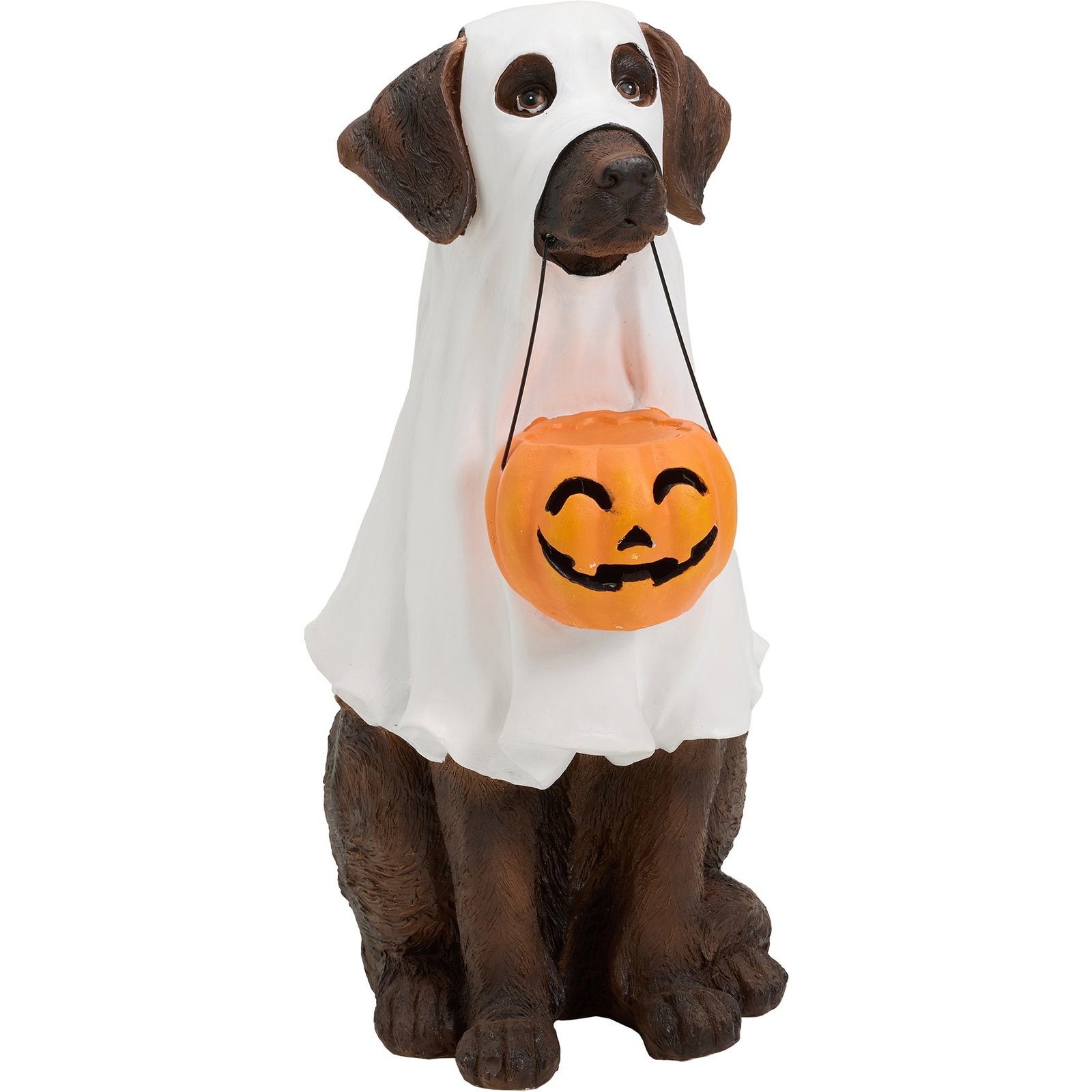 Humane World for Animals Lab with LED Pumpkin-Shaped Basket Statue | White
