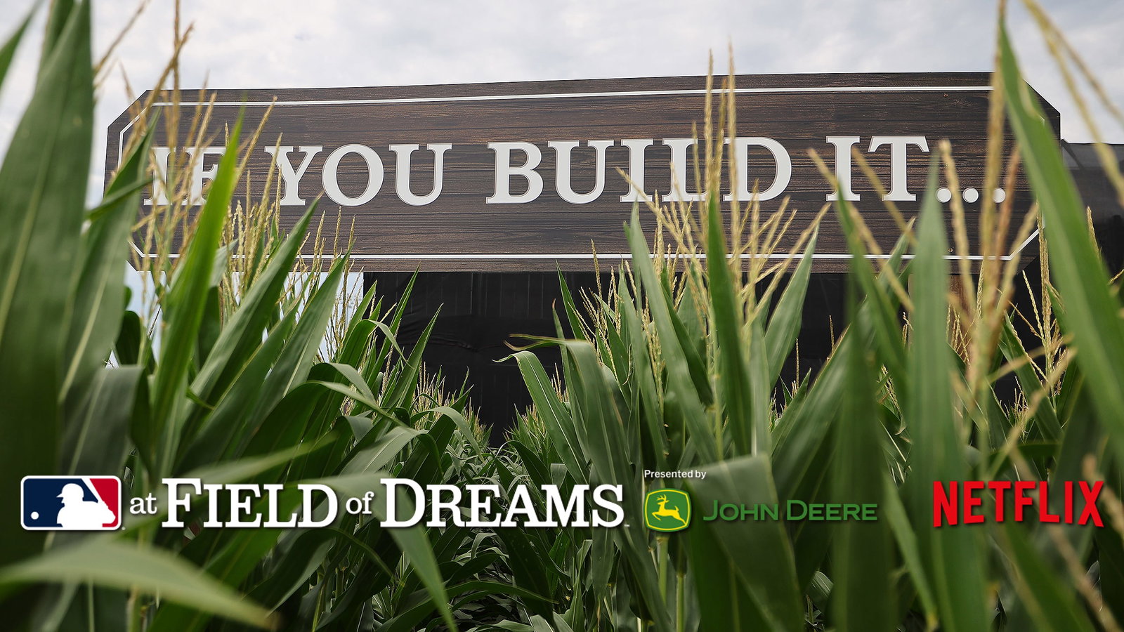 Corn stalks in front of a sign at the Field of Dreams reading 