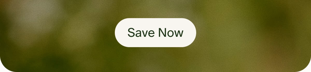Save Now