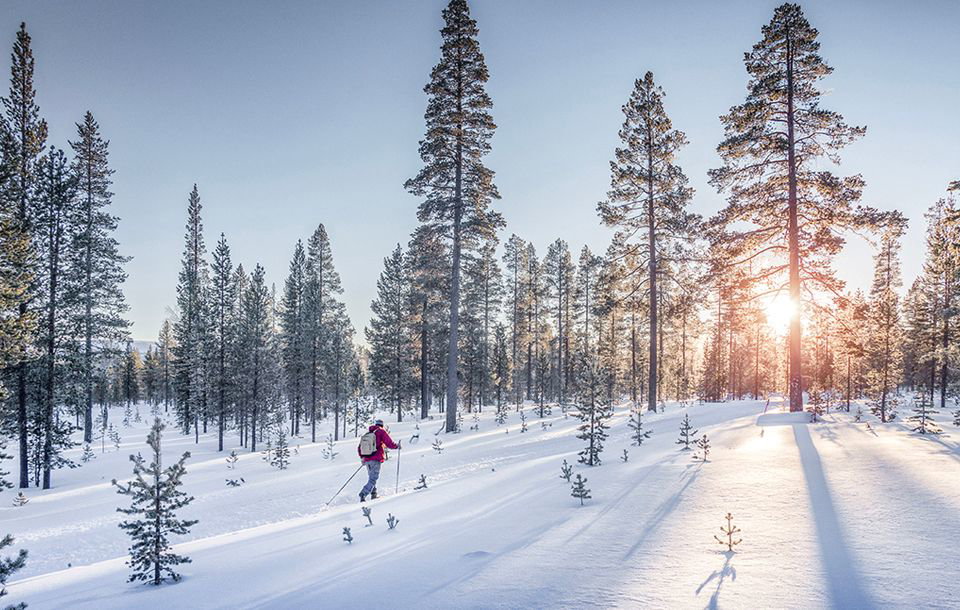 Immersion en Finlande