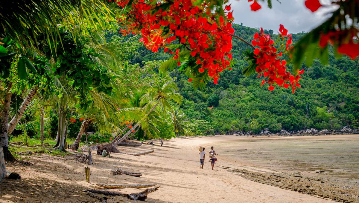 Immersion à Madagascar