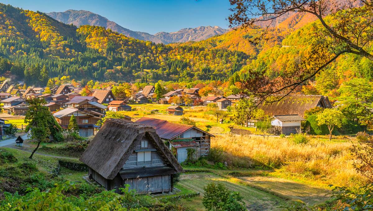 Immersion au Japon