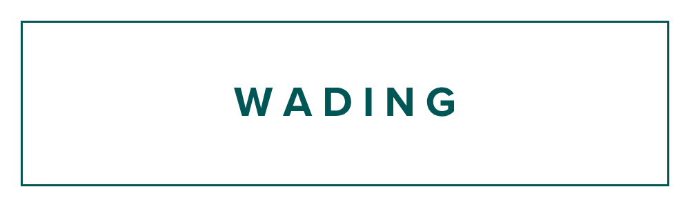 Teal box with teal 'wading' text inside