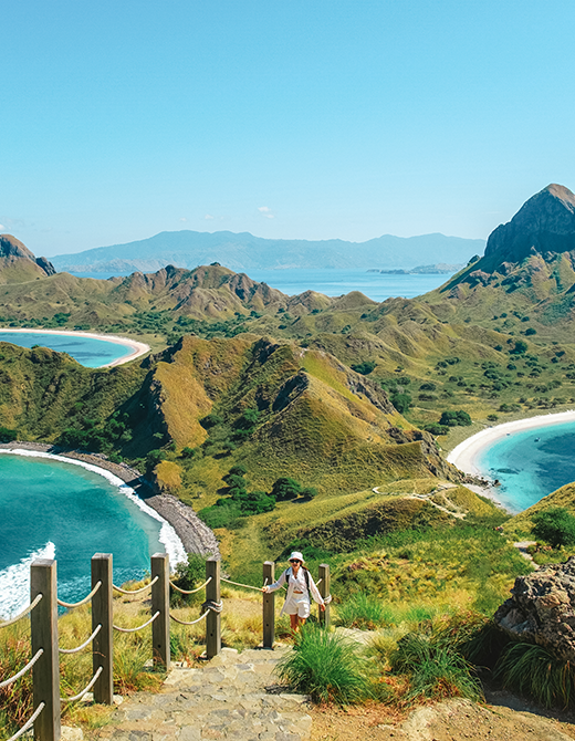 Komodo-Indonesia