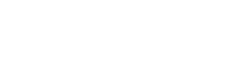 SeaVees logo in white