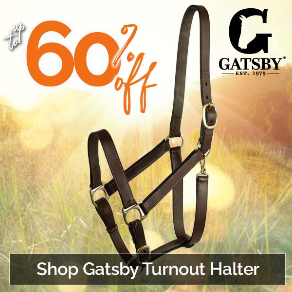 Gatsby Turnout Halter up to 60% Off